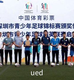 成功案例